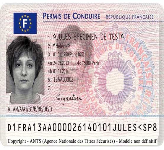 French Driver License for Sale